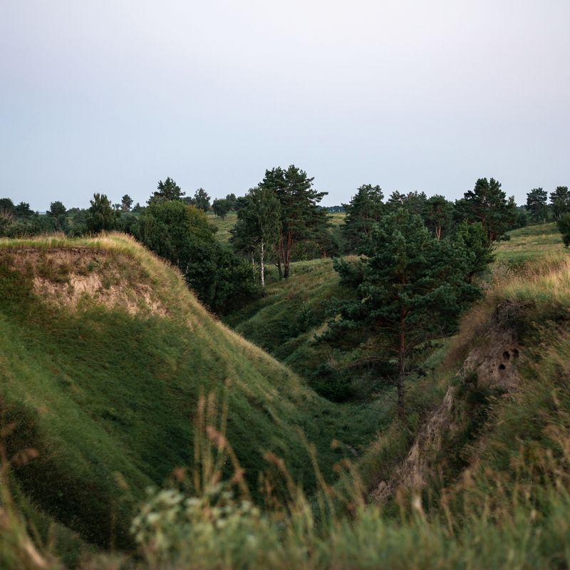 Васильківські Карпати - локація для фотосесії біля Києва